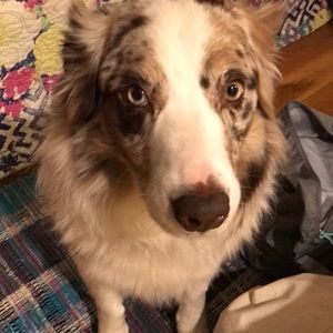 Meet your Posher, Ashleigh